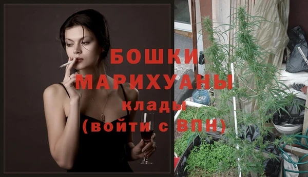 молекула духа Аркадак