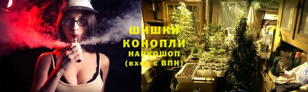 молекула духа Аркадак