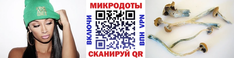мориарти официальный сайт  Суоярви  Псилоцибиновые грибы Cubensis  где можно купить  